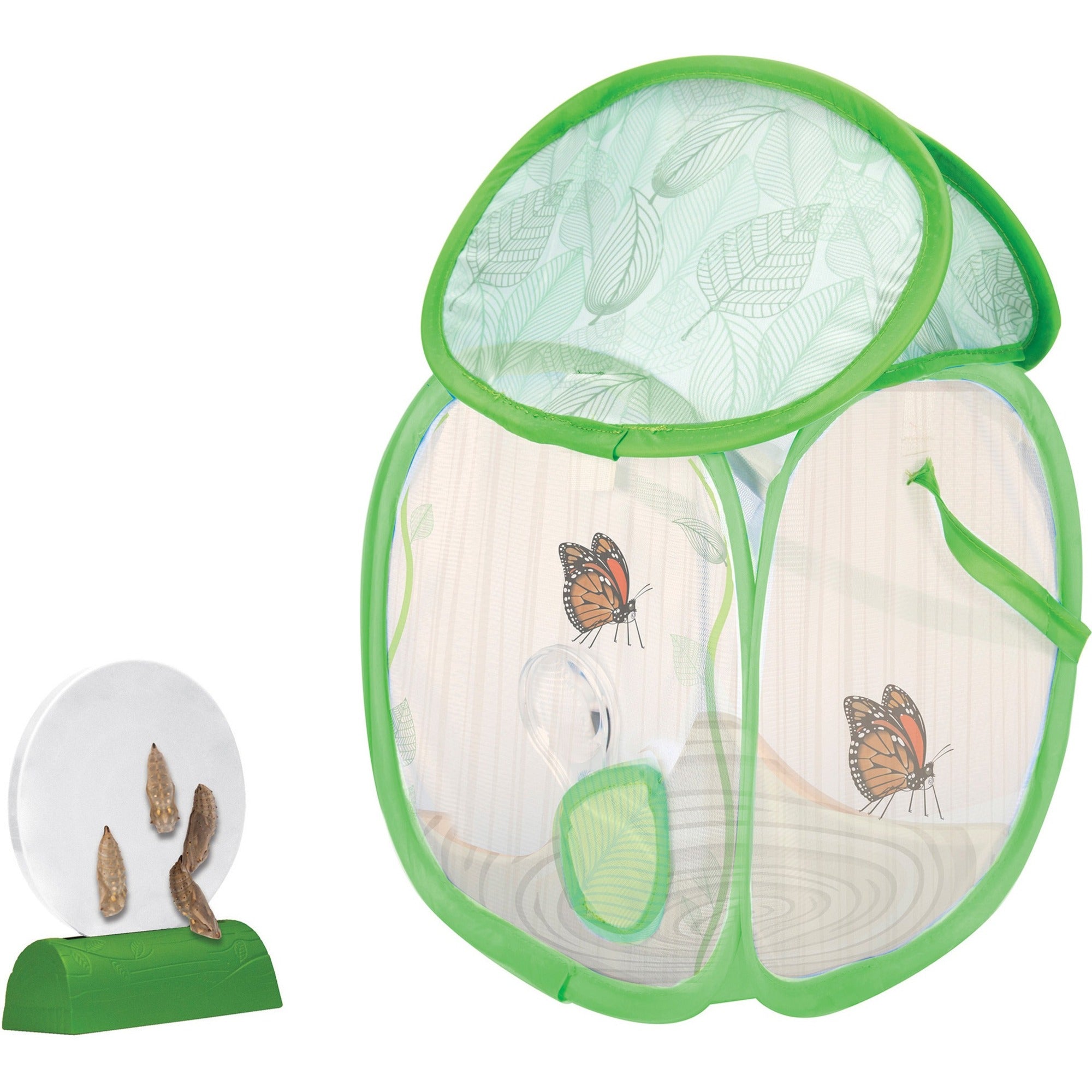Educational Insights GeoSafari Jr. Butterfly Bungalow – Theme Subject: Learning – Skill Learning: Scientific Terminologies, Discovery, Science, STEM – 4-10 Year – Multi Discount