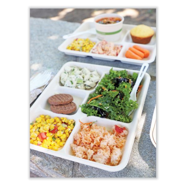 Fiber Trays, 5-Compartment, 8.5 x 10.24 x 1.01, Natural, Paper, 400 Carton Cheap - Image 4